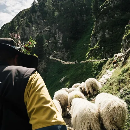 דירה Schoenblick *