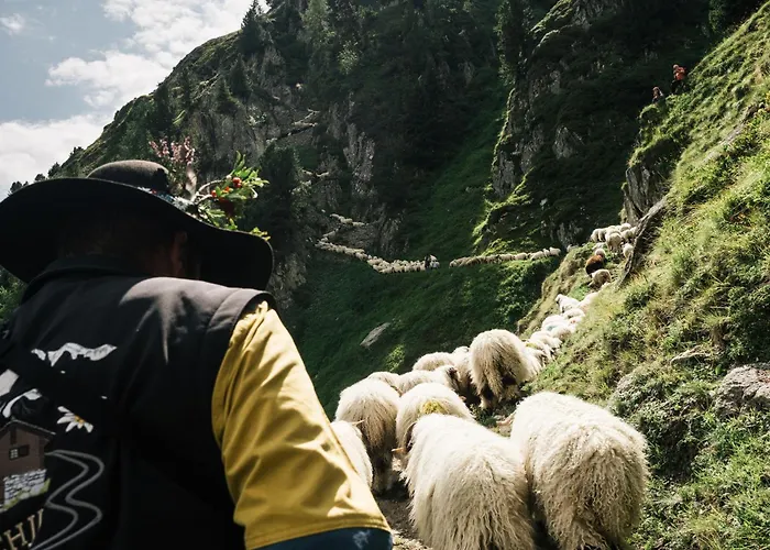 Apartmán Schoenblick *